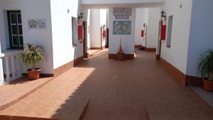 a hallway of a building with potted plants in it at Apartamentos Villa Aurora in Valle Gran Rey