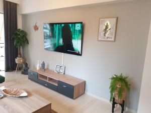 Et tv og/eller underholdning på EcoStay-Scandy,2bdr cozy apartment by the sea in Alimos