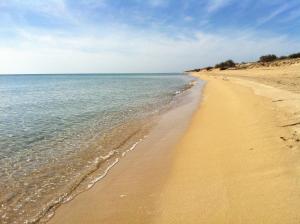 a sandy beach with the ocean in the background at B&B Lu Cantoru in Marina di Pescoluse