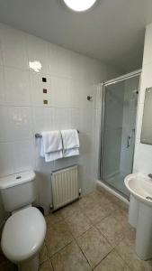 a bathroom with a shower and a toilet and a sink at Horseshoes cafe and lodge in Welbourn