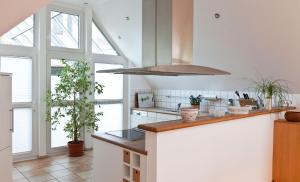 una cocina con encimera y algunas plantas en Luxus-Idyll mit Pfalz-Panorama, en Rhodt unter Rietburg