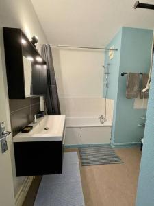 a bathroom with a sink and a shower and a tub at Studio au pied du Vercors in Saint-Jean-en-Royans