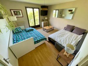 a bedroom with a bed and a mirror at Studio au pied du Vercors in Saint-Jean-en-Royans