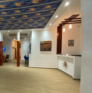 圣路易斯FILYS HOTEL的一间天花板上画着画的房间