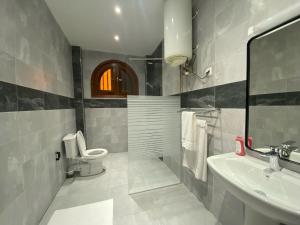 圣路易斯FILYS HOTEL的带马桶和水槽的浴室