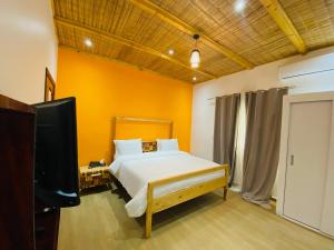 圣路易斯FILYS HOTEL的一间带床和平板电视的卧室