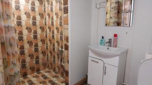 A bathroom at Sevan - Tsovazard Beach House