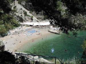 um grupo de pessoas em uma praia na água em Apartment Andrea 1 em Dubrovnik
