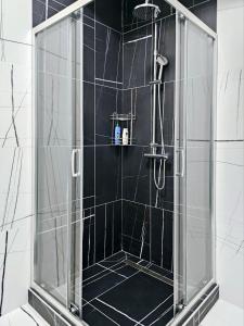 y baño con ducha y puerta de cristal. en Apartment Bulevar Square, en Sarajevo