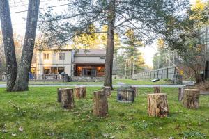 霍利2 Houses, 22+Guests, 2 Hot Tubs, Renovated, Events Welcome!的一群树桩在房子前面的草上