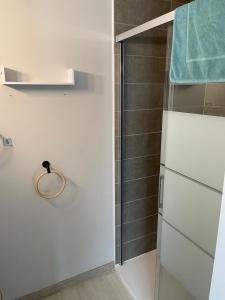 uma casa de banho com um chuveiro e uma porta de vidro em La Maison de l'Auzette em Limoges