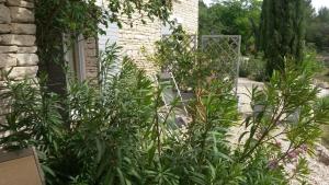 un jardín con plantas y una silla en un patio en Le Logis, en Gordes
