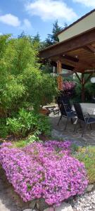 un montón de flores púrpuras en un jardín en Haus Waldblick 