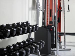 a row of dumbbells in a gym at Bellonias Villas in Kamari
