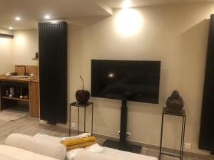 ErquelinnesにあるTournez La Pageのリビングルーム(壁に大画面薄型テレビ付)