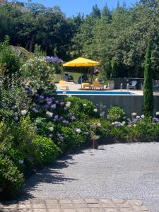 a garden with flowers and a swimming pool at Casa da lapa in Paredes de Coura +45 photos