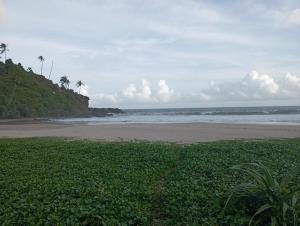 a beach with the ocean and palm trees and the sand at 152-Abhaya Place Homestay in Talalla