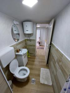 a bathroom with a white toilet and a sink at Apartmani Kuljanin in Donji Milanovac