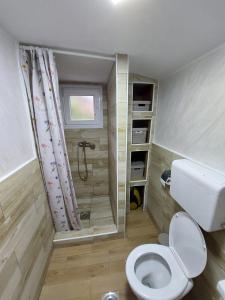a small bathroom with a toilet and a shower at Apartmani Kuljanin in Donji Milanovac