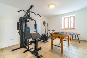 Fitness centrum a/nebo fitness zařízení v ubytování House nona Roza