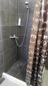 a shower with a shower curtain in a bathroom at Aegean Beachfront House in Petriaí
