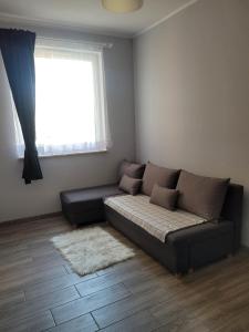 a living room with a couch and a window at Apartament Słowińców 35 in Wejherowo