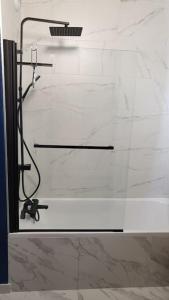 a shower with a glass door in a bathroom at La Suite de Lily in Talence