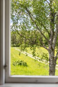 ein Fenster mit Blick auf ein Grasfeld mit einem Baum in der Unterkunft Chalet Vassviken - DAL031 by Interhome in Ånimskog