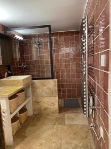 bagno con doccia, lavandino e specchio di La Ribasse en Provence a Venelles