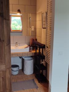uma casa de banho com um lavatório e um espelho em Miodówka em Stronie Śląskie