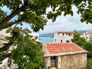 Naturlandskabet i nærheden af lejligheden