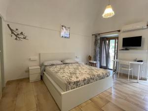 Dormitorio con cama, escritorio y TV en La Coccinella, en Meta