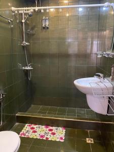 a bathroom with a shower with a sink and a toilet at Surf Hotel in Baku