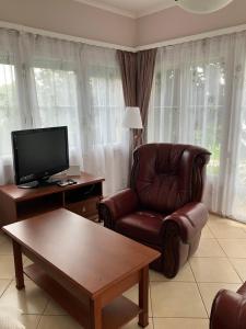 バラトンアカラッチャにあるKazinczy Villaのリビングルーム(革張りの椅子、テレビ付)