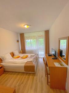 a bedroom with a bed and a desk with a computer at Guest House Au Nature in Golyama Zhelyazna