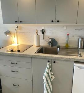 uma cozinha com um lavatório e uma bancada em Boat house with direct connection to the sea em Umeå