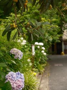 Une bande de fleurs pousse sur un arbre dans l'établissement 京都 三日月 Mikazuki, à Kyoto
