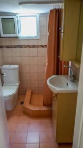 a small bathroom with a toilet and a sink at ALKIONIS , Family apartment by the sea in Halkidiki in Pefkohori