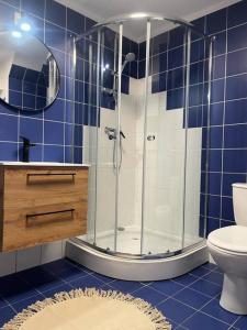 baño de azulejos azules con ducha y aseo en Apartament Soplicy 17 en Toruń