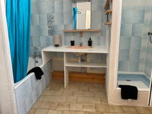 a bathroom with a sink and a shower at Chambres, Table d'Hôtes et Gites Les Mesanges in Saint-Jean-de-Sauves +55 photos