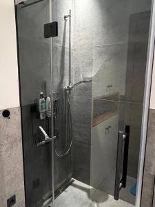een douche met een glazen deur in de badkamer bij Apartment MAJA by Krone Travel Agency in Zell am See