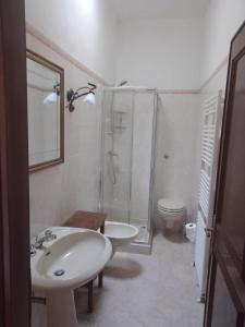 y baño con lavabo, ducha y aseo. en La Casina tra le Torri, en San Gimignano