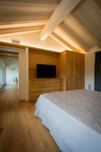 1 dormitorio con 1 cama grande y TV de pantalla plana en Ca' del Biss en Caenere
