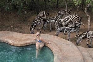 a woman in a swimming pool with zebras at Kruger Park Hostel in Marloth Park