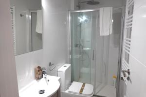 a bathroom with a shower and a toilet and a sink at Vacare centro de Santander in Santander