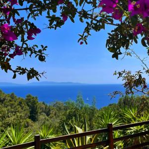 una vista sull'oceano attraverso un ramo di alberi di Trilocale Vista Mare Isola d'Elba a Capo D'Arco
