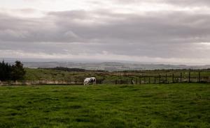 Fotografie z fotogalerie ubytování Willow Cabin v destinaci Hexham