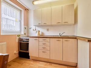 Kuchyň nebo kuchyňský kout v ubytování Studio U Šustrů by Interhome