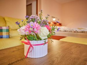 Fotografie z fotogalerie ubytování Studio U Šustrů by Interhome v destinaci Horní Maršov