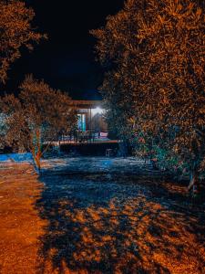 a house at night with trees in the foreground at Söğüt Tinyhouse & Glamping in Marmaris